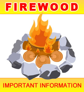 Important Firewood Information 